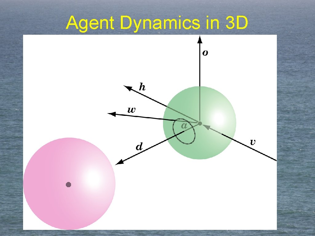 Agent Dynamics in 3 D 