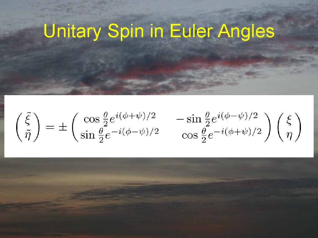 Unitary Spin in Euler Angles 