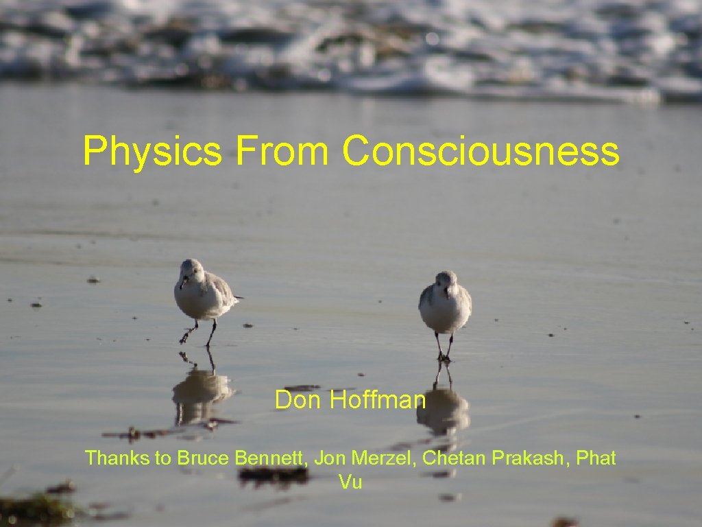 Physics From Consciousness Don Hoffman Thanks to Bruce Bennett, Jon Merzel, Chetan Prakash, Phat