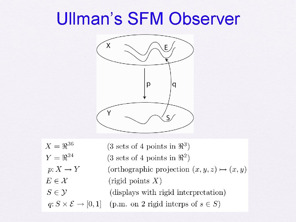 Ullman’s SFM Observer 
