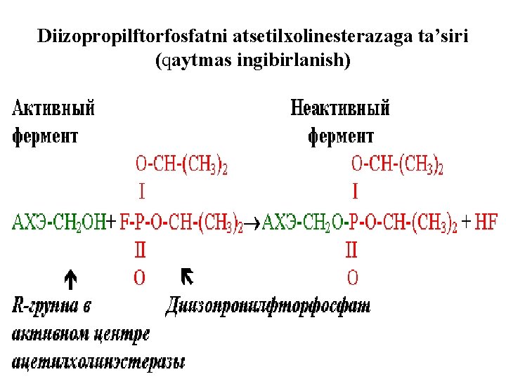 Diizopropilftorfosfatni atsetilxolinesterazaga ta’siri (qaytmas ingibirlanish) 