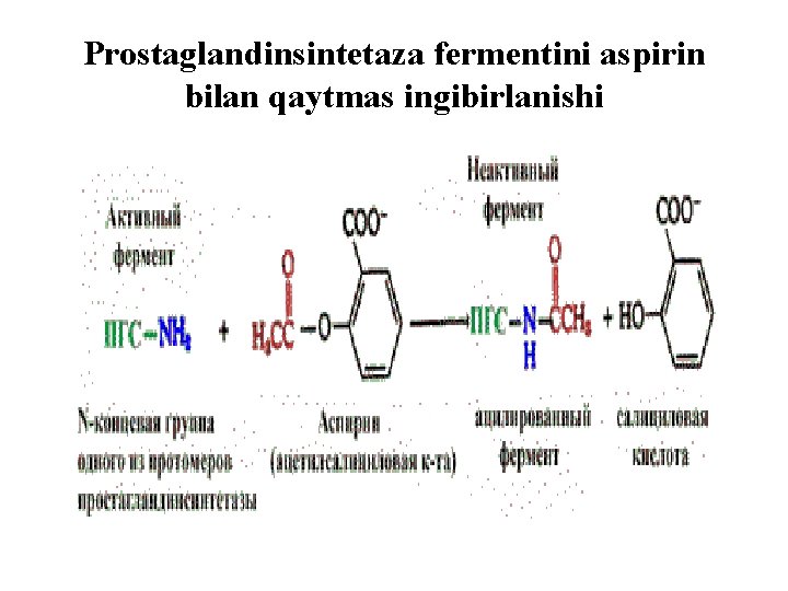 Prostaglandinsintetaza fermentini aspirin bilan qaytmas ingibirlanishi 