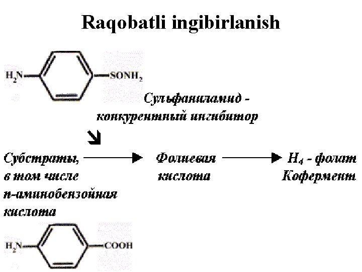 Raqobatli ingibirlanish 