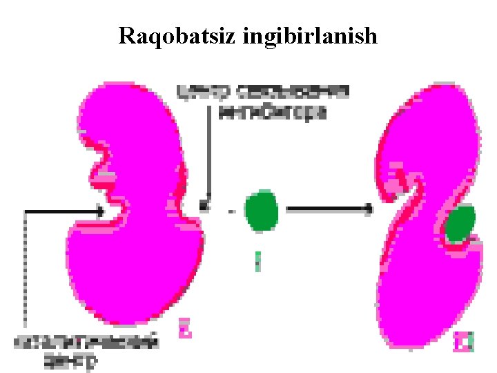Raqobatsiz ingibirlanish 