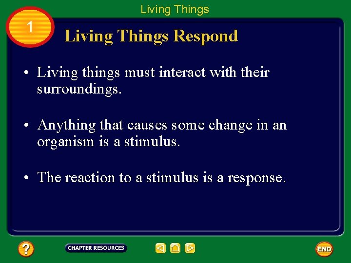 Living Things 1 Living Things Respond • Living things must interact with their surroundings.