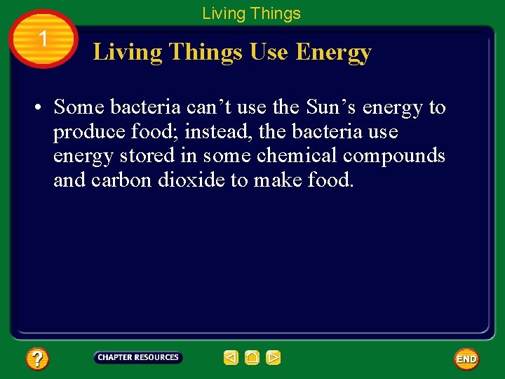 Living Things 1 Living Things Use Energy • Some bacteria can’t use the Sun’s