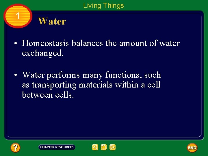 Living Things 1 Water • Homeostasis balances the amount of water exchanged. • Water