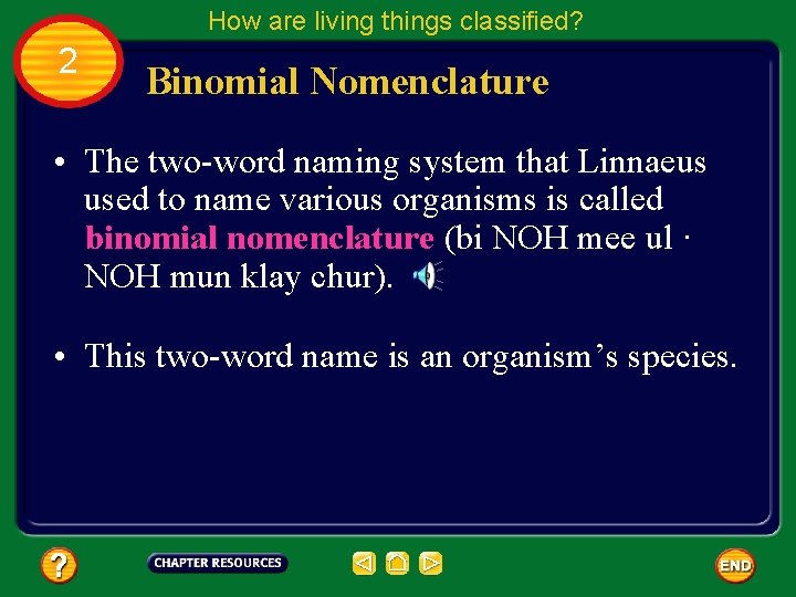 How are living things classified? 2 Binomial Nomenclature • The two-word naming system that