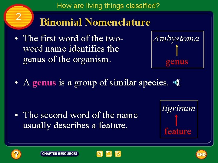 How are living things classified? 2 Binomial Nomenclature • The first word of the