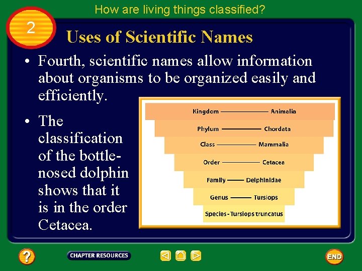 How are living things classified? 2 Uses of Scientific Names • Fourth, scientific names