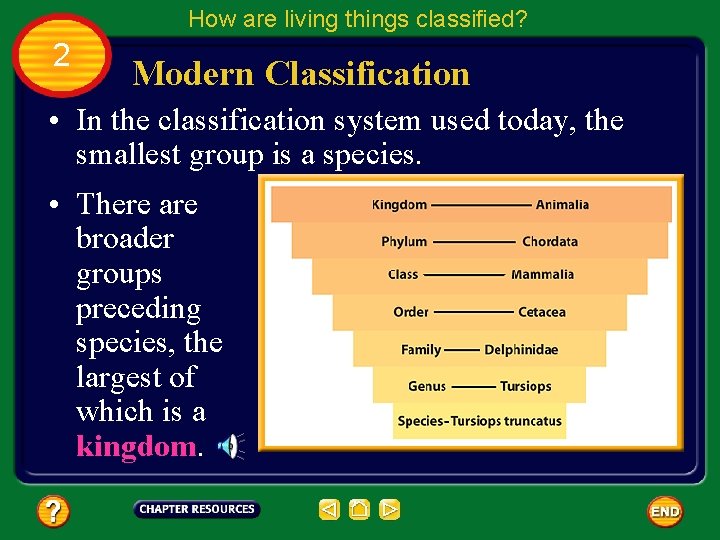 How are living things classified? 2 Modern Classification • In the classification system used