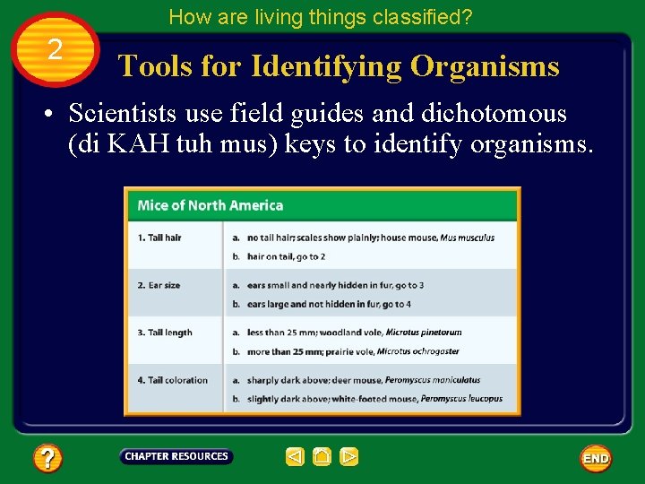 How are living things classified? 2 Tools for Identifying Organisms • Scientists use field