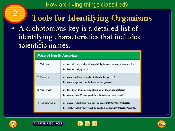 How are living things classified? 2 Tools for Identifying Organisms • A dichotomous key