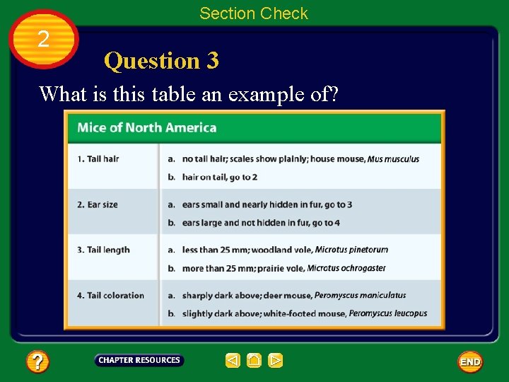 Section Check 2 Question 3 What is this table an example of? 