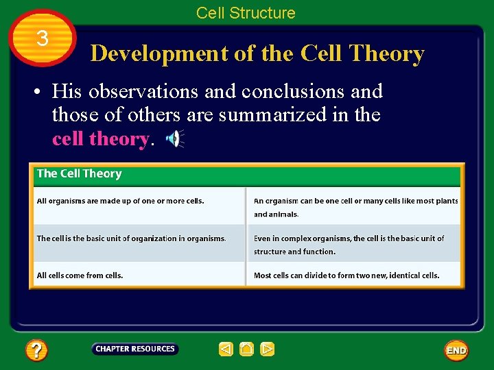 Cell Structure 3 Development of the Cell Theory • His observations and conclusions and