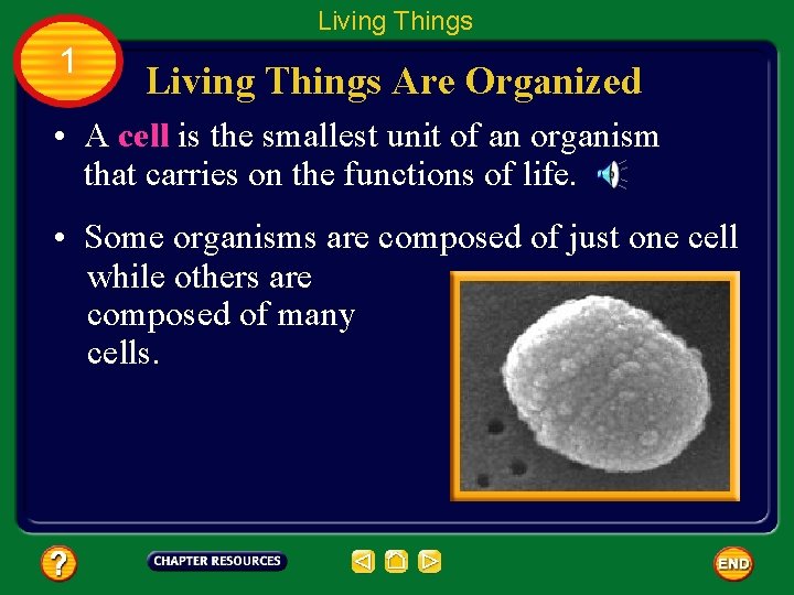 Living Things 1 Living Things Are Organized • A cell is the smallest unit