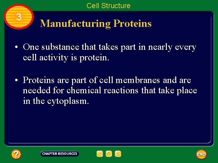 Cell Structure 3 Manufacturing Proteins • One substance that takes part in nearly every