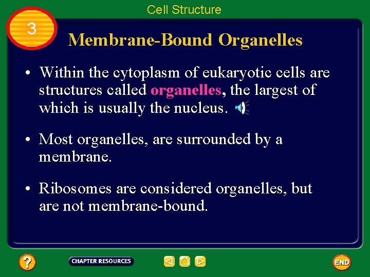 Cell Structure 3 Membrane-Bound Organelles • Within the cytoplasm of eukaryotic cells are structures