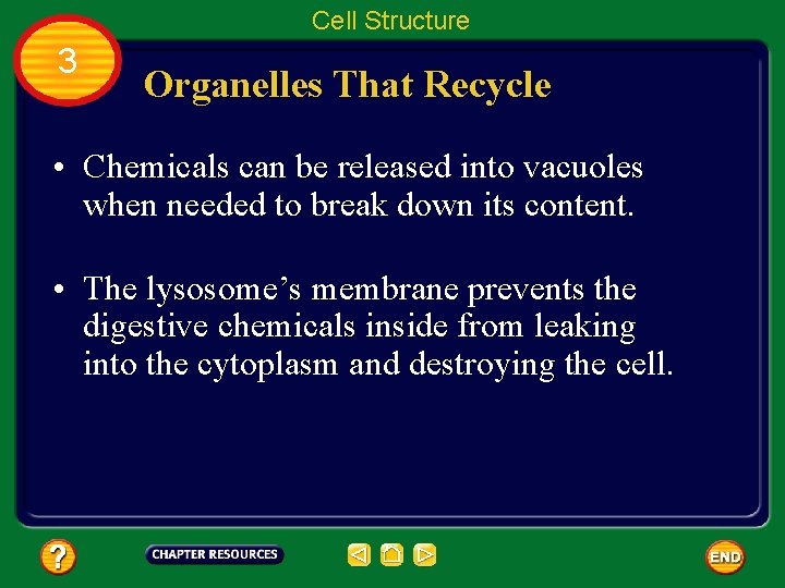 Cell Structure 3 Organelles That Recycle • Chemicals can be released into vacuoles when