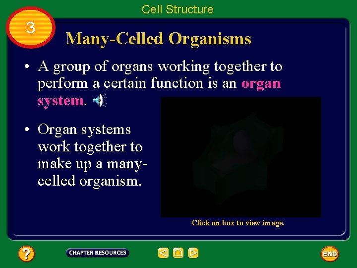 Cell Structure 3 Many-Celled Organisms • A group of organs working together to perform