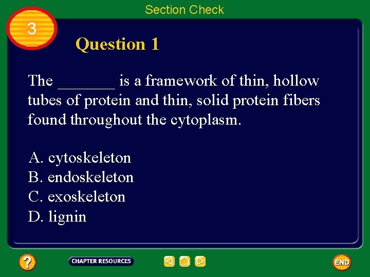 Section Check 3 Question 1 The _______ is a framework of thin, hollow tubes