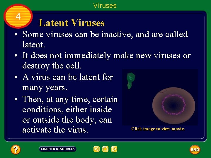 Viruses 4 Latent Viruses • Some viruses can be inactive, and are called latent.