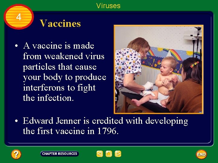 Viruses 4 Vaccines • A vaccine is made from weakened virus particles that cause