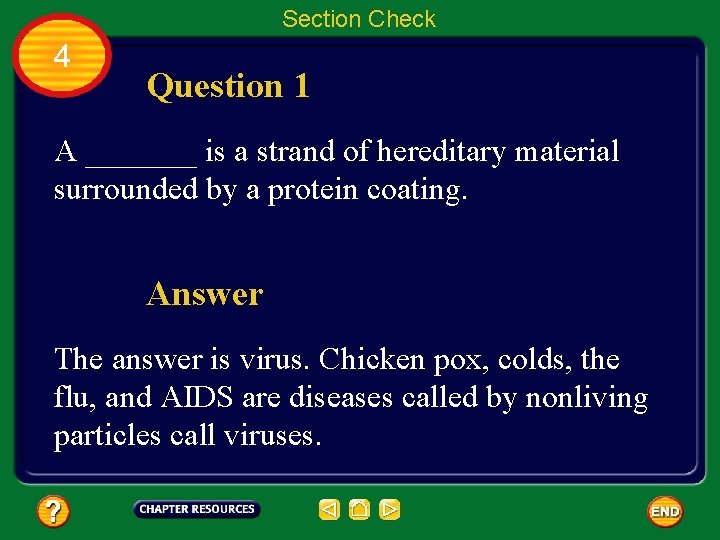 Section Check 4 Question 1 A _______ is a strand of hereditary material surrounded