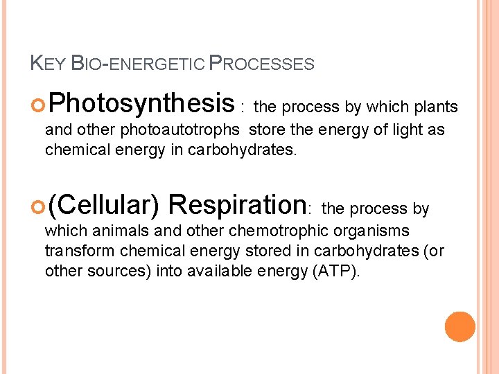 KEY BIO-ENERGETIC PROCESSES Photosynthesis : the process by which plants and other photoautotrophs store KEY BIO-ENERGETIC PROCESSES Photosynthesis : the process by which plants and other photoautotrophs store