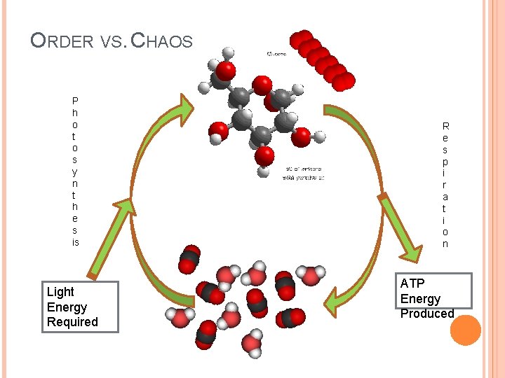 ORDER VS. CHAOS P h o t o s y n t h e ORDER VS. CHAOS P h o t o s y n t h e