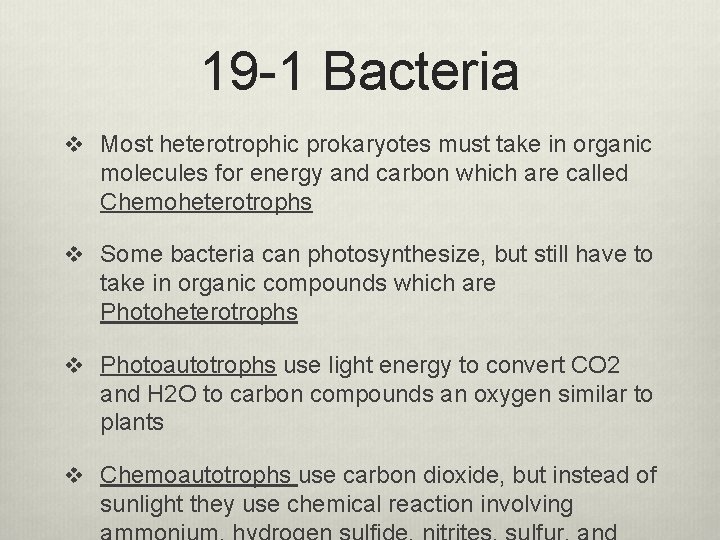 19 -1 Bacteria v Most heterotrophic prokaryotes must take in organic molecules for energy