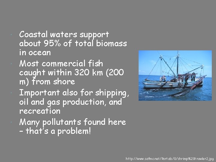 Coastal waters support about 95% of total biomass in ocean Most commercial fish caught