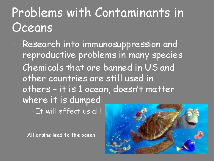 Problems with Contaminants in Oceans Research into immunosuppression and reproductive problems in many species