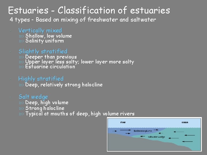 Estuaries - Classification of estuaries 4 types - Based on mixing of freshwater and