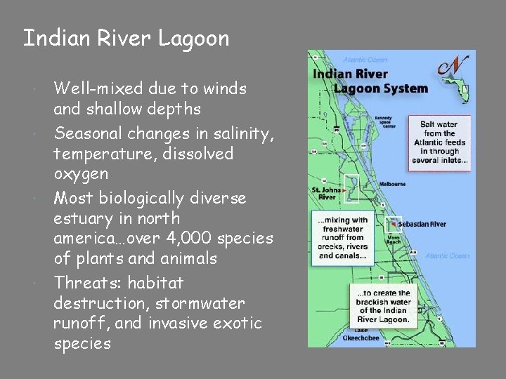 Indian River Lagoon Well-mixed due to winds and shallow depths Seasonal changes in salinity,