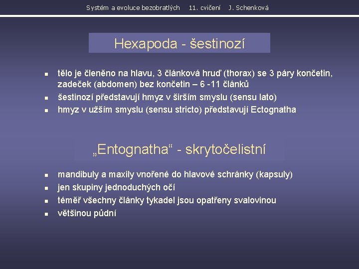 Systém a evoluce bezobratlých 11. cvičení J. Schenková Hexapoda - šestinozí n n n