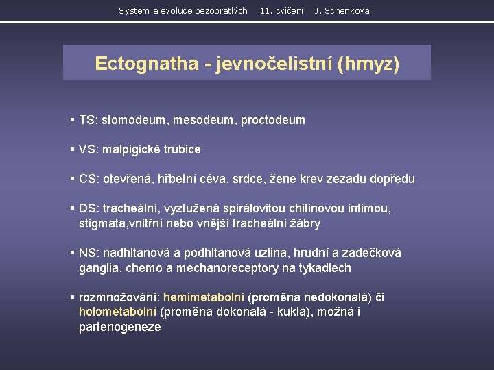 Systém a evoluce bezobratlých 11. cvičení J. Schenková Ectognatha - jevnočelistní (hmyz) § TS: