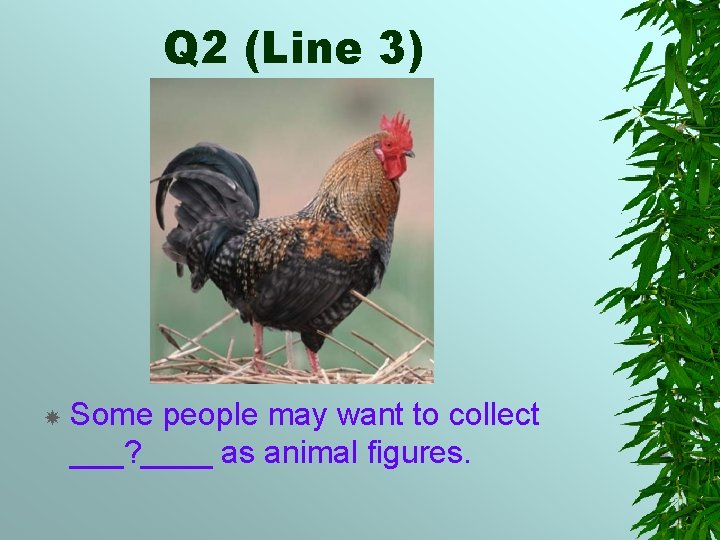 Q 2 (Line 3) Some people may want to collect ___? ____ as animal