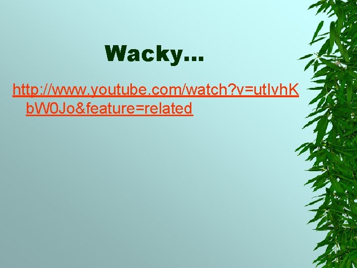 Wacky… http: //www. youtube. com/watch? v=ut. Ivh. K b. W 0 Jo&feature=related 