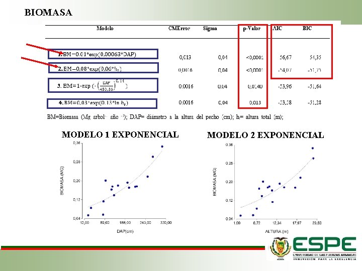 BIOMASA MODELO 1 EXPONENCIAL MODELO 2 EXPONENCIAL 