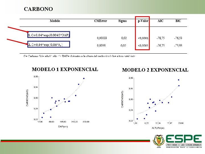 CARBONO MODELO 1 EXPONENCIAL MODELO 2 EXPONENCIAL 