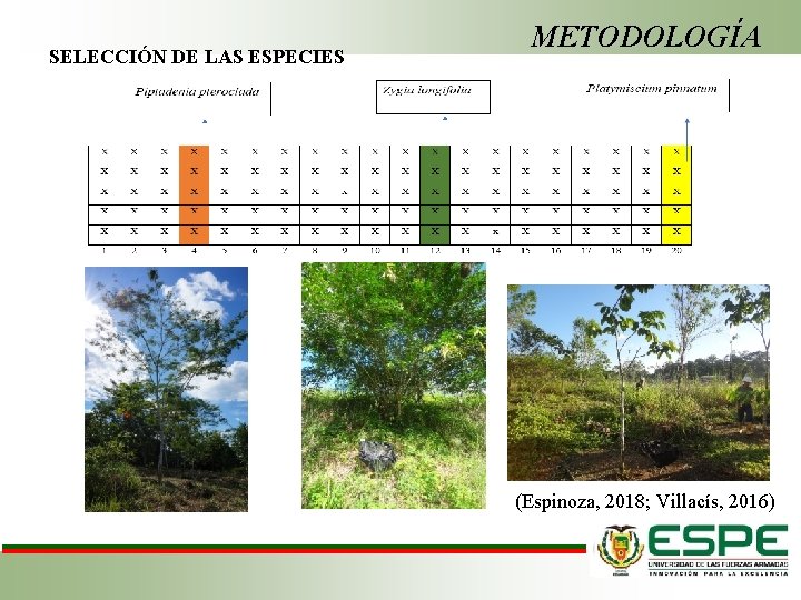 SELECCIÓN DE LAS ESPECIES METODOLOGÍA (Espinoza, 2018; Villacís, 2016) 