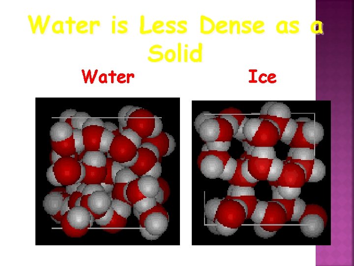 Water is Less Dense as a Solid Water Ice 