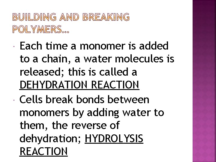  Each time a monomer is added to a chain, a water molecules is