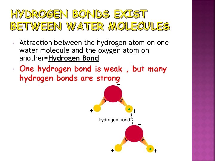 HYDROGEN BONDS EXIST BETWEEN WATER MOLECULES Attraction between the hydrogen atom on one water