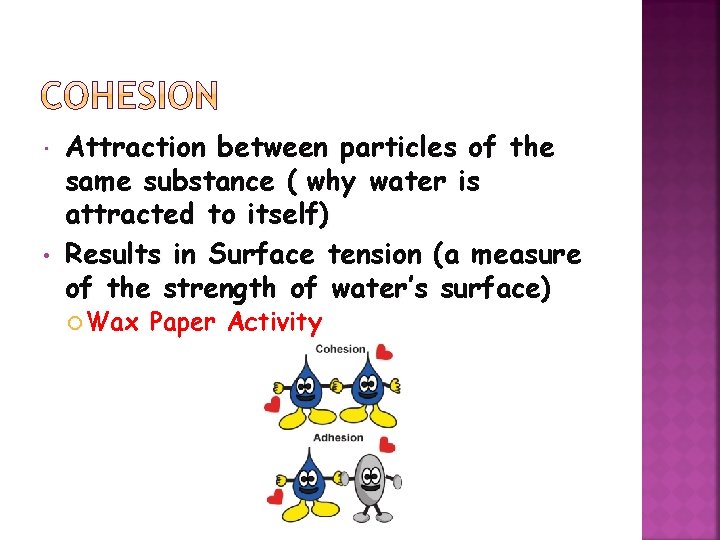  • Attraction between particles of the same substance ( why water is attracted