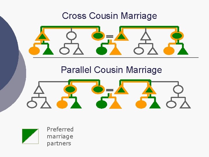 Cross Cousin Marriage Parallel Cousin Marriage Preferred marriage partners 