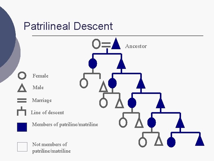 Patrilineal Descent Ancestor Female Marriage Line of descent Members of patriline/matriline Not members of