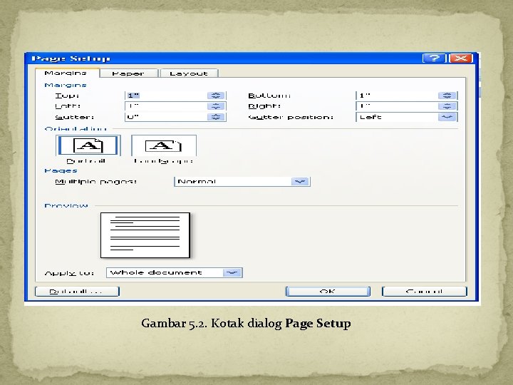 Gambar 5. 2. Kotak dialog Page Setup 