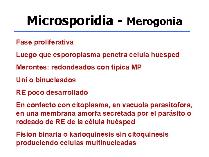 Microsporidia - Merogonia Fase proliferativa Luego que esporoplasma penetra celula huesped Merontes: redondeados con